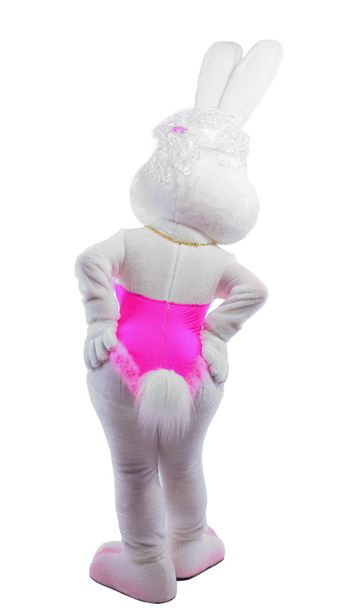 Beauty bunny girl mascot costume take a hip isolated - 写真・画像