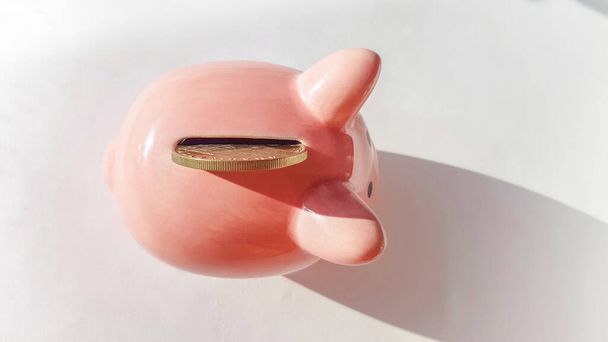 Top view over pink piggy bank with slot and inserted coin, on white background, savings and investment concept, copy space, space for text. - Photo, image