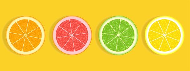 Zitrusfruchtscheiben aus Orange, Grapefruit, Limette und Zitrone isoliert auf weißem Hintergrund - Vektor, Bild