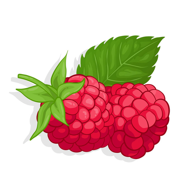 Lampone dolce frutta illustrazione per web isolato su sfondo bianco - Vettoriali, immagini