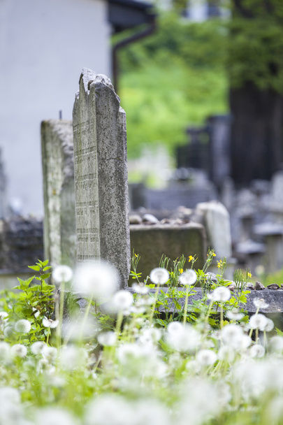 Cementerio judío
 - Foto, Imagen