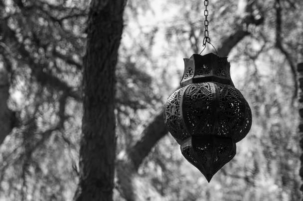 Close-up de uma lâmpada de metal velho pendurado em uma corrente com troncos de pinho e galhos no backgroung em um dia ensolarado - Foto, Imagem
