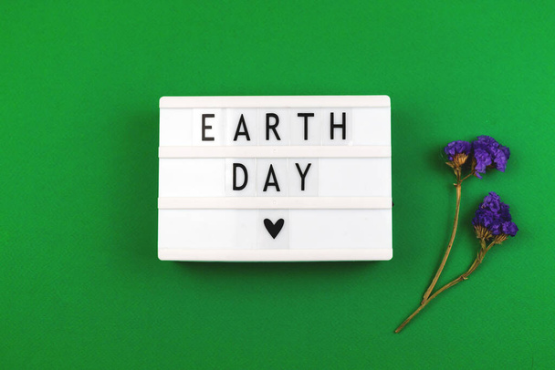 Earth Day Schriftzug flach auf grünem Papier mit getrockneter Blume - Foto, Bild