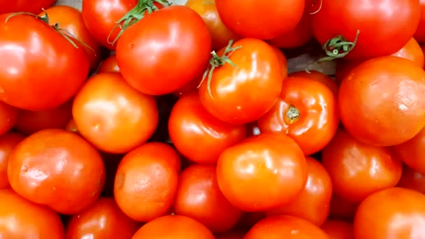 Видеозапись большой кучи свежих помидоров в продуктовом магазине. Свежие овощи в супермаркете. Слева направо гладкая картинка, 4k видео - Кадры, видео