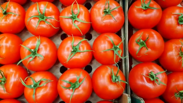 Filmaufnahme eines großen Stapels frischer Tomaten in einem Lebensmittelgeschäft. Frisches Gemüse im Supermarkt. Glättes Schwenken von links nach rechts, 4k-Video - Filmmaterial, Video
