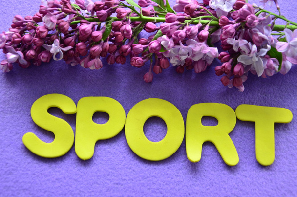 Sport - Foto, afbeelding