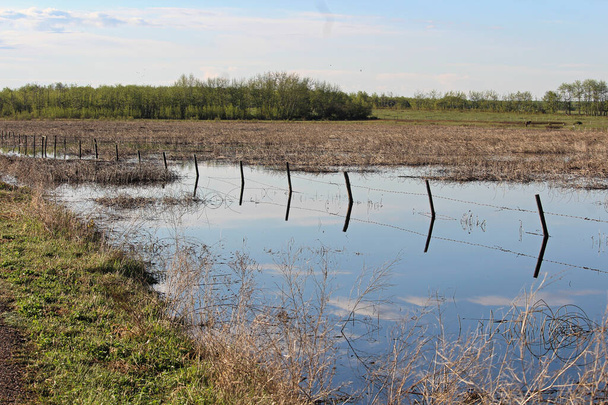 Una cerca inundada a lo largo de una zona húmeda - Foto, Imagen