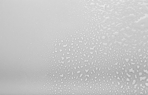 Drops of water on a color background. Selective focus. Gray. - Foto, Bild