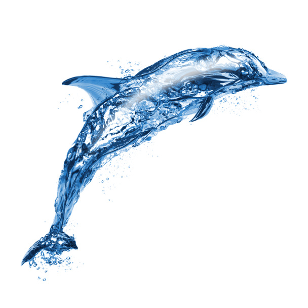 Ugró delfin víz, elszigetelt fehér background - Fotó, kép