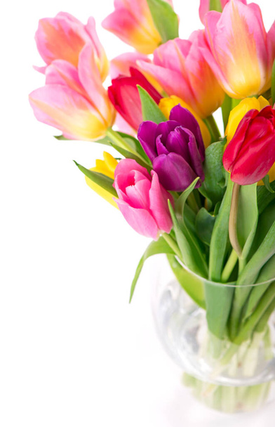 Many beautiful colorful tulips with leaves isolated. - Фото, изображение
