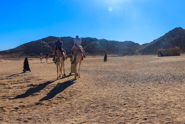 Groep toeristen berijden kamelen in Arabische woestijn, Egypte - Foto, afbeelding