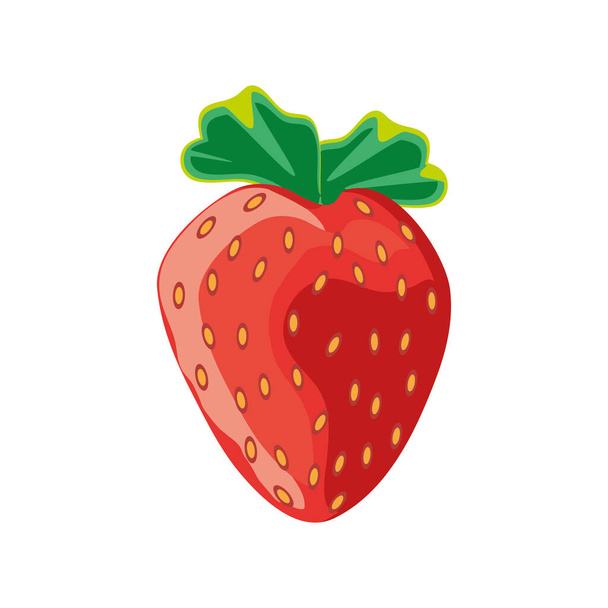 tropical fruit strawberry - Vector, Image