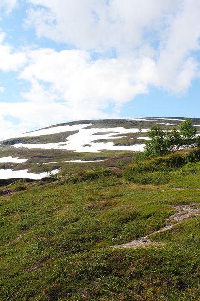 Northern Norway landscape - Foto, immagini