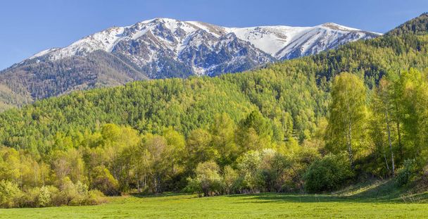 View of mountains on a spring day, green forests and snow on the peaks - 写真・画像
