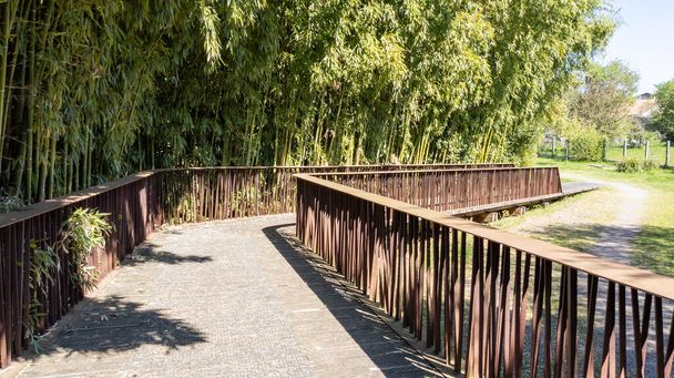 Contemporary stainless rusty steel and wooden bridge in the woodland garden park - Photo, Image