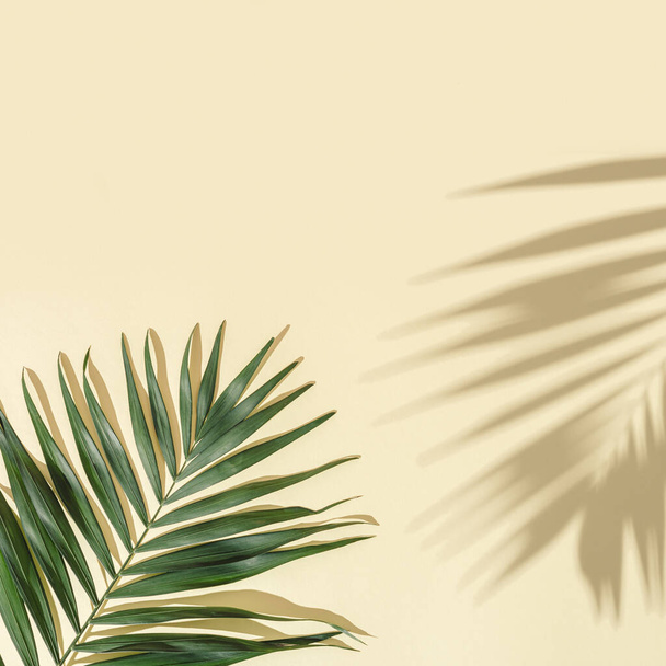 Summer minimal background with natural green palm leaves with sun shadows on light yellow paper with copy space. Pastel colored aesthetic photography with palm plant. - Fotografie, Obrázek
