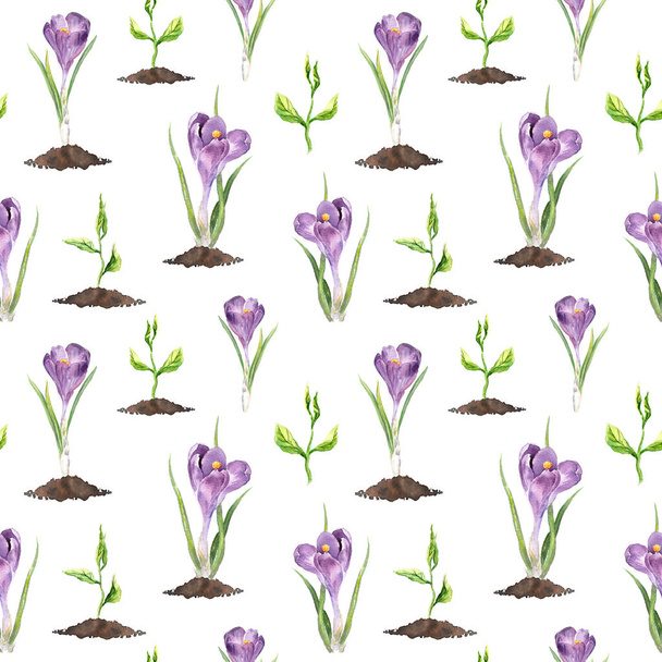 Violet crocus flowers, green spring sprouts. Seamless pattern. Watercolor - Фото, изображение