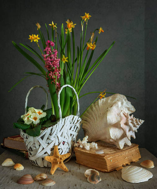 Still life with books, seashells and a flower arrangement of daffodils, hyacinths and primroses in a wicker basket. Vintage. - Photo, Image
