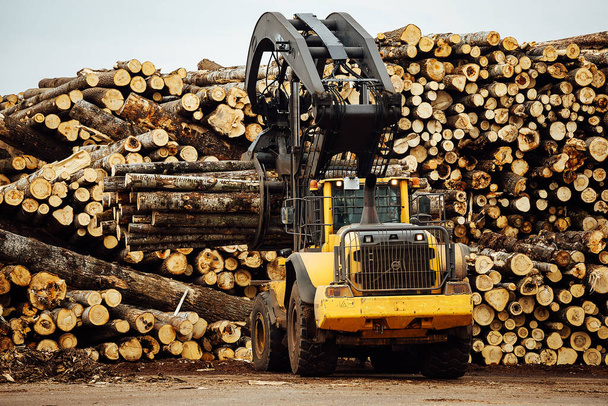 voorlader voor het laden van hout. een industriële trekker gekapt hout vervoert. houtverwerkingsbedrijf. laden van hout in het magazijn - Foto, afbeelding