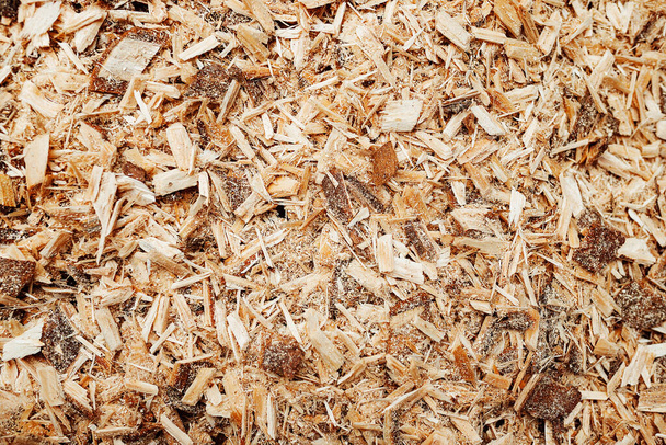 the texture of sawdust. production waste in woodworking. macro photo of small chips from sawing wood - Photo, Image