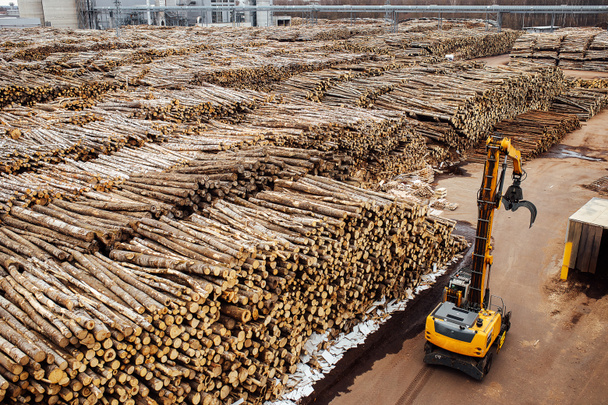 magazzino di alberi abbattuti presso la fabbrica. camini fabbrica di fumo inquinano l'atmosfera. gru industriale scarica materie prime di legno - Foto, immagini