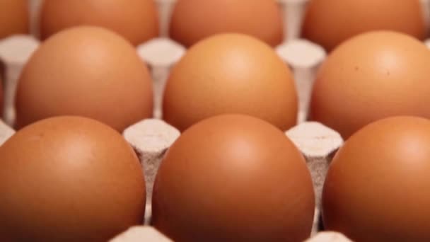 Kananmunan pakkaus sinisellä pohjalla. Tuoreita raakoja kananmunia munalaatikossa tilalla tai torilla. Makroa. lähikuva. - Materiaali, video