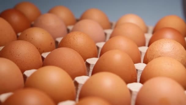 Imballaggio uovo di pollo su sfondo blu. Uova di pollo crude fresche in scatola di uova presso l'azienda o il mercato. Una macro. Primo piano. - Filmati, video