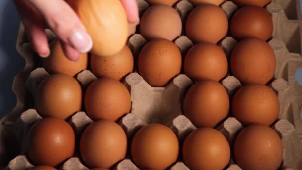 Camion girato un primo piano di una mano umana sollevare un uovo di pollo crudo sul pannello delle uova. Imballaggio uovo di pollo su sfondo blu. Uova fresche di pollo crude in un cerchio in scatola di uova presso l'azienda o il mercato.  - Filmati, video
