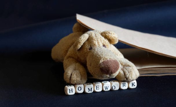 Homework sign next to cute plush dog and notepad. Concept for help or tips with homework. Dark background - Photo, Image