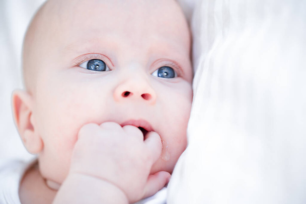 закрыть портрет новорожденного младенца, сосущего кулак  - Фото, изображение
