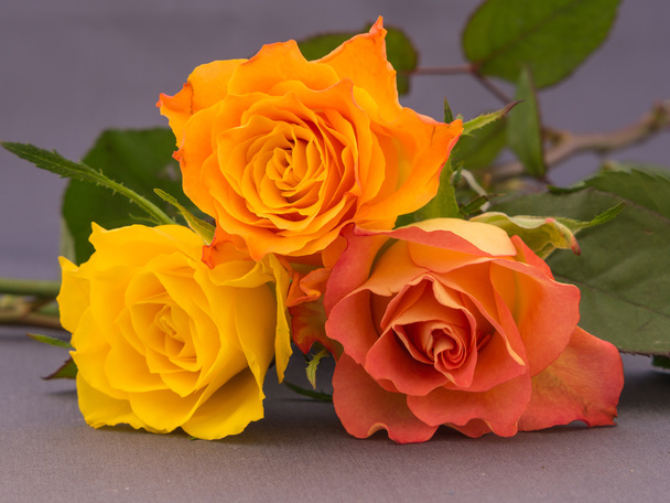 Pieni nippu oranssi ja keltainen värillinen ruusuja
 - Valokuva, kuva