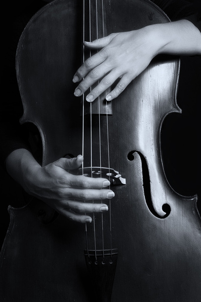 Beautiful woman holding a cello with selective light and black d - Фото, изображение