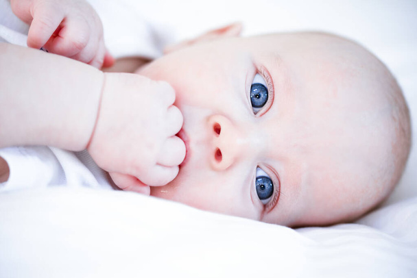 портрет голубоглазого младенца с закрытым ртом с кулаком вблизи - Фото, изображение