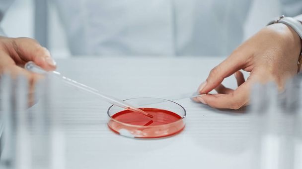 Ausgeschnittene Ansicht eines afrikanisch-amerikanischen Wissenschaftlers, der Blut von einer Testplatte mit Pipette entnimmt  - Foto, Bild