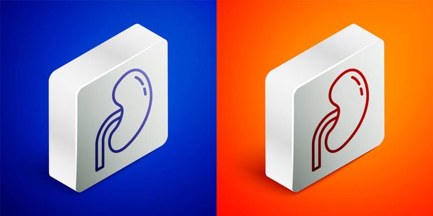 Isometric line Human kidney icon isolated on blue and orange background. Silver square button. Vector. - Vector, Image