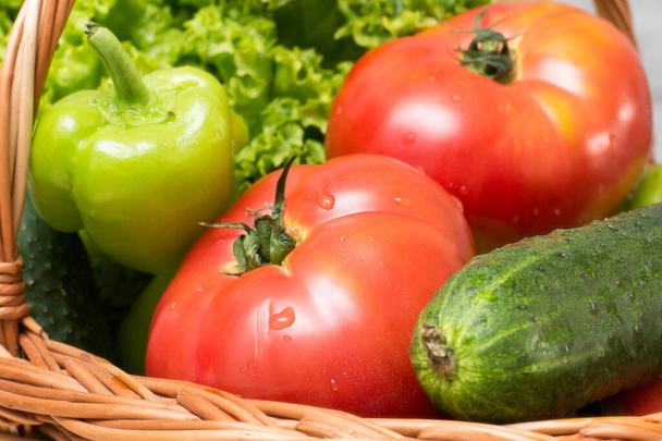 Čerstvá zelenina v košíku. Rajčata, okurky, pepř a salát - Fotografie, Obrázek