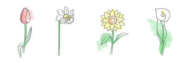 手描きの花をセットします。ナルシス、ひまわり、チューリップ、カラユリ。シンプルな植物スケッチのコレクション、ライン、花の図面、ミニマリズム。模倣水彩のブラシストロークとドールスタイル。 - ベクター画像
