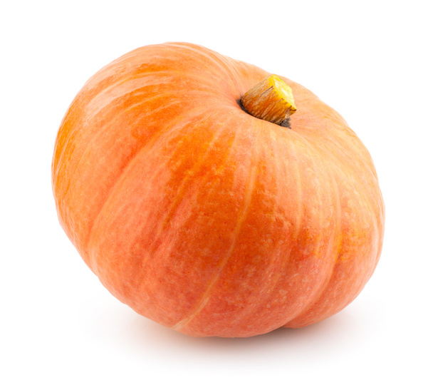 Pumpkin - Photo, Image