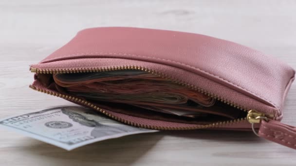 vrouwenhand haalt een roze portemonnee tevoorschijn met een bankbiljet van honderd dollar en veel geld. Begrip financiering, uitgaven en inkomsten. - Video
