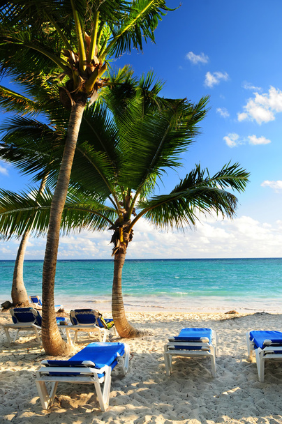 砂浜のヤシの木とリクライニング椅子トロピカル リゾート - 写真・画像