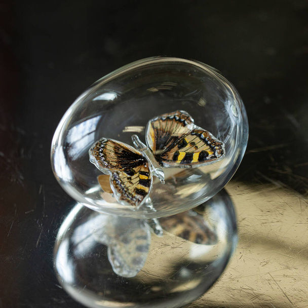 szklane jajko wielkanocne z motylem wewnątrz na srebrnym tle. szklane jajko. motyl z bliska - Zdjęcie, obraz
