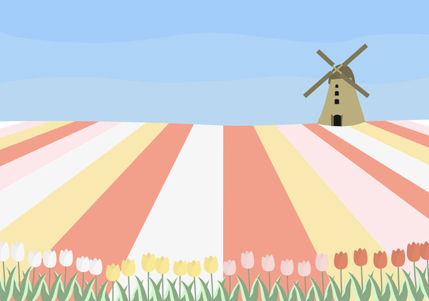 Fogalom vektor illusztráció holland tulipán mezők és egy malom. - Vektor, kép