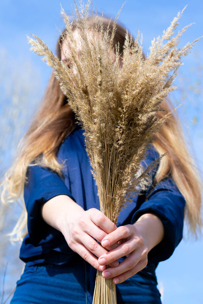 Bright vertical photo of young woman in blue shirt shows at camera bumch of dried yellow bushgrass. Long haired woman with bouquet - Foto, afbeelding
