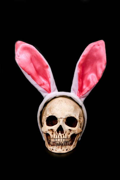 Human skull with pink Easter ears on a black background. - Valokuva, kuva