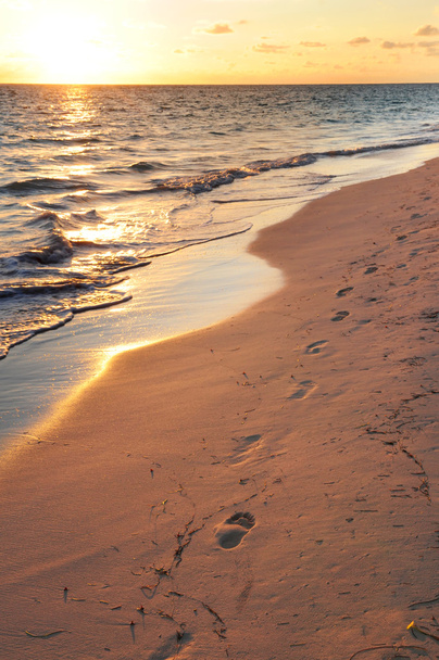Footprints on sandy beach at sunrise - Fotó, kép