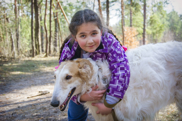In the Spring forest on a bright sunny day, a girl hugs a Russian greyhound dog and plays with her. - Foto, afbeelding