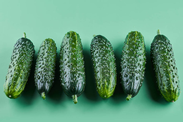 Set of fresh whole cucumbers isolated on a green background, clipping path. Garden cucumber wallpaper backdrop design - Φωτογραφία, εικόνα