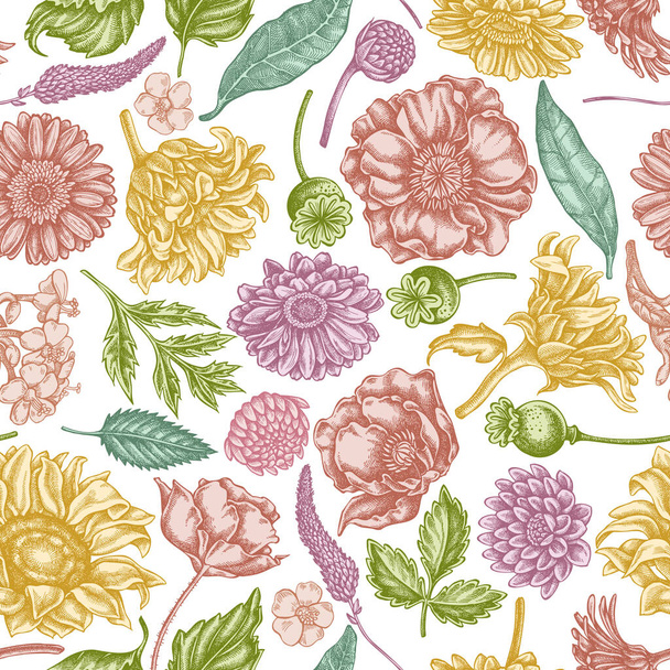 Seamless pattern with hand drawn pastel poppy flower, gerbera, sunflower, milkweed, dahlia, veronica - Vector, afbeelding
