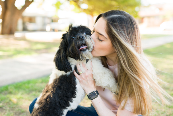 Красива біла жінка цілує свого ши-дзу собаку після гри в парку. Привабливий власник собаки дарує любов до свого цуценя на відкритому повітрі
 - Фото, зображення