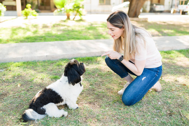 Dühös kutyatulajdonos leszidta a shih tzu kutyusát, mert elfutott a parkban. Vonzó nő beszél a kutyájával a rossz viselkedéséről. - Fotó, kép